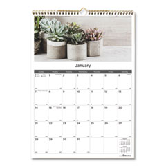 12-Month Wall Calendar, Succulent Plants Photography, 12 x 17, White/Multicolor Sheets, 12-Month (Jan to Dec): 2024